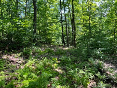 0 Morgan Meadows Dr, Gray, ME 04039 - photo 7