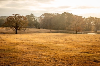 Catalpa Rd, Big Sandy, TX 75755 - photo 7