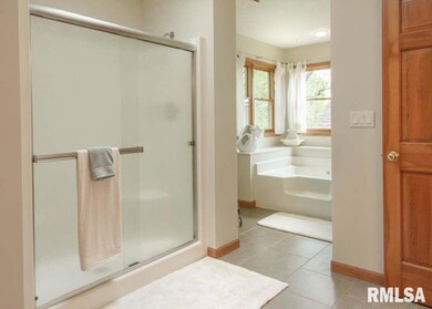 24388 Ridge Rd, Colona, IL 61241 - photo 7