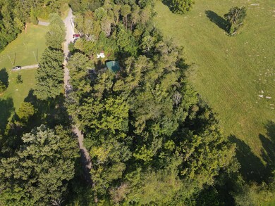 146 Lakeshore Dr, Burnside, KY 42519 - photo 3