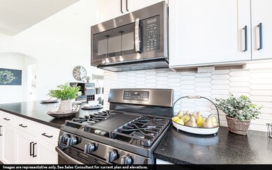 16709 Lacey Dr, Celina, TX 75009 - photo 7