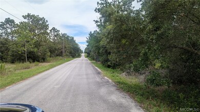tbd SW 207th Ct, Dunnellon, FL 34431 - photo 4