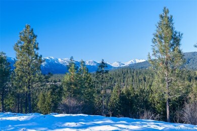 171 Big Hill Dr, Cle Elum, WA 98922 - photo 4