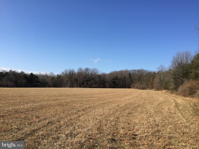 0 Tail Race Rd unit 1004352325, Aldie, VA 20105 - photo 2