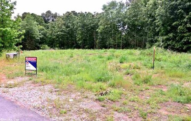 Lot 6 Cr 7612, Brookland, AR 72417 - photo 4