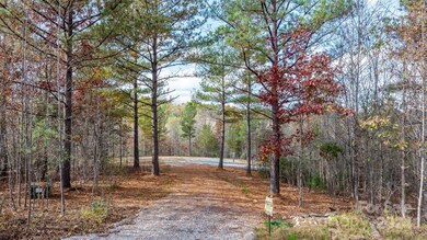65 Smoothstem Ct unit 85, Nebo, NC 28761 - photo 2