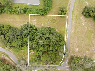 17287 SW 11 Ct, Newberry, FL 32669 - photo 7