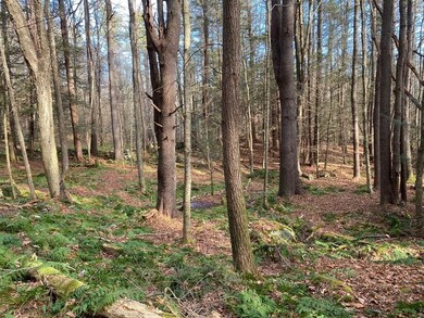 159 Mechanic St, Barre, MA 01005 - photo 5