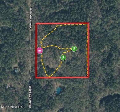 6095 County Road 23, Louin, MS 39338 - photo 2