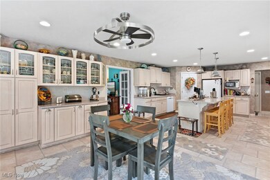 6810 S Ridge Rd W, Geneva, OH 44041 - photo 5