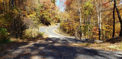 0 Lexington Turnpike unit 342098, Oronoco, VA 24521 - photo 2