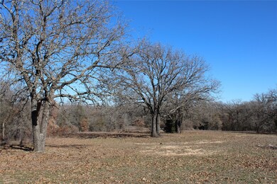 0000 Old Agnes Rd, Weatherford, TX 76088 - photo 4