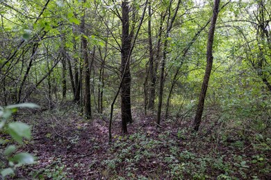 2 N 3800 Rd, Okemah, OK 74859 - photo 5