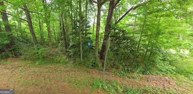 335 Wallace Gray Rd, Newnan, GA 30263 - photo 2