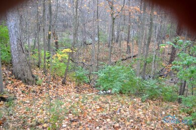 15711 Custar Rd, Grand Rapids, OH 43522 - photo 6