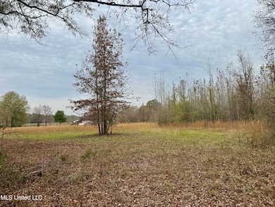 0001 Brown Rd, Canton, MS 39046 - photo 3