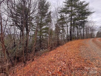 0 Taylor Dr unit CAR4210184, Moravian Falls, NC 28654 - photo 2