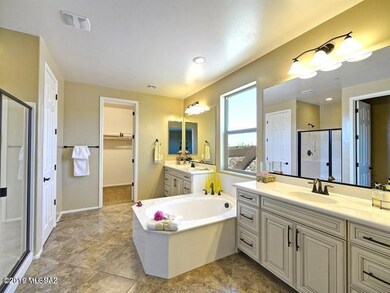 Elegant Master Bath with walk-in closet