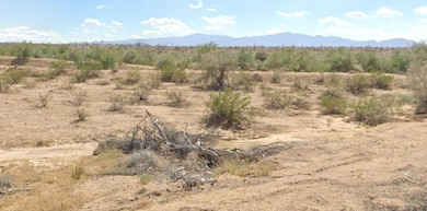 Unnamed Rd, Yucca, AZ 86438 - photo 7
