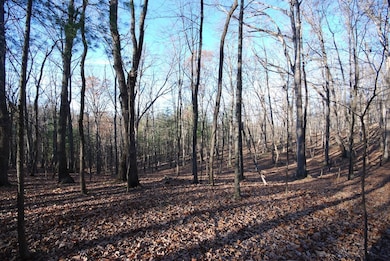 Lot 67 Mill Mountain Rd, Romney, WV 26757 - photo 2