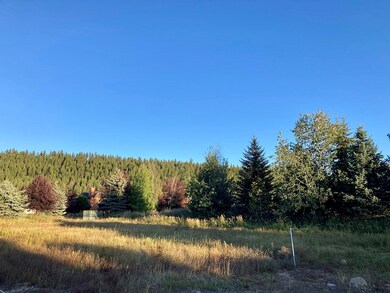 Mature Landscaping along South Property Line