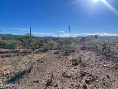 1853 Isabel Ct unit 183, Rio Rico, AZ 85648 - photo 4
