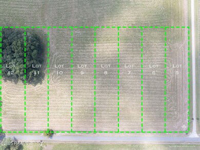 Tbd Begnaud Rd unit Lot 5, Sunset, LA 70584 - photo 7