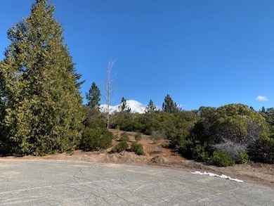 Lot 8 Twin View Ct, Mount Shasta, CA 96067 - photo 2