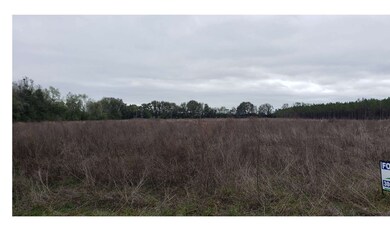 0 266th St, Branford, FL 32008 - photo 3