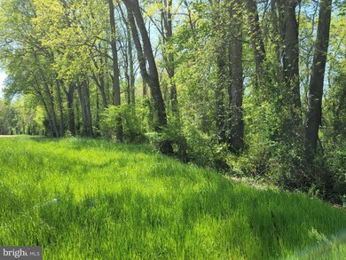 732 Clannihan Shop Rd, Church Hill, MD 21623 - photo 4