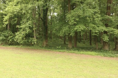 1299 Stage Coach Rd, Siler City, NC 27344 - photo 4