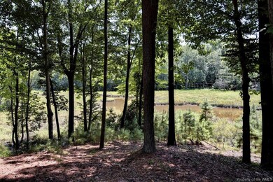.65 AC overlooks Halfway creek leading to James Ri