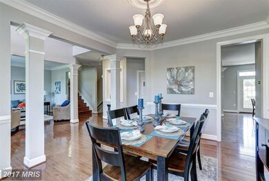 3807 Lacy Blvd, Falls Church, VA 22041 - photo 5