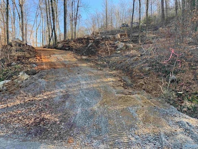 LOT 22 Snug Harbor Rd, Grant, AL 35747 - photo 3