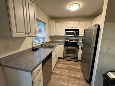 20 Orchard St unit 306, Brookfield, CT 06804 - photo 6