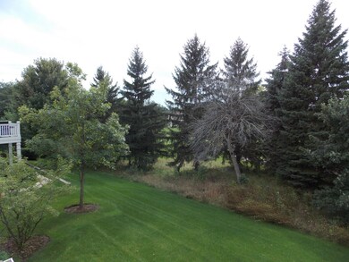 VIEW FROM THE DECK