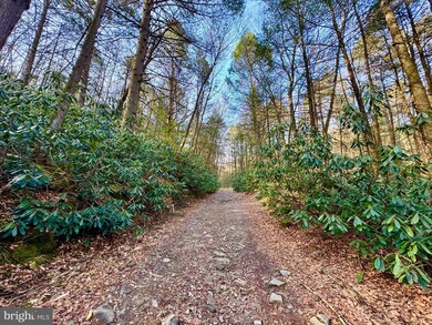 Lot 30 Wild Flower Way, Albright, WV 26519 - photo 3