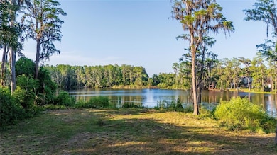 16213 Dew Drop Ln, Tampa, FL 33625 - photo 5