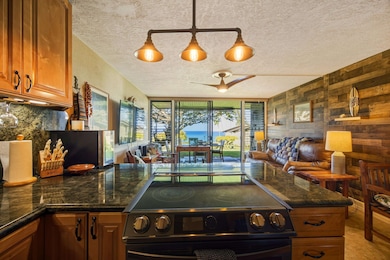 3975 Lower Honoapiilani Rd unit 114, Lahaina, HI 96761 - photo 6