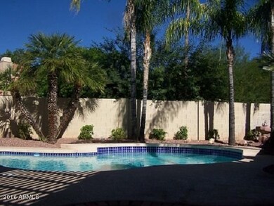 Backyard - View 2 - Private Relaxing Oas