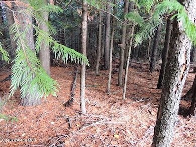 NKA Governors Way, Spirit Lake, ID 83869 - photo 3