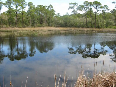 Pine Cone Trail water #3
