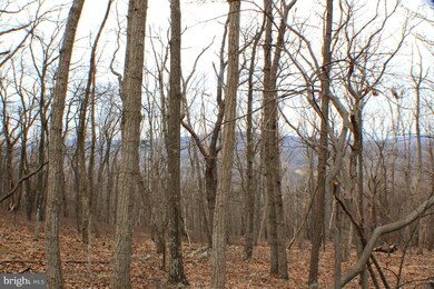 25 Cove Creek, Capon, WV 26801 - photo 5