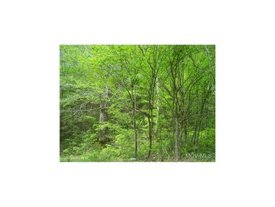 Site near road