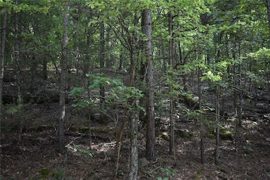 0 Mandy Ln, Casa, AR 72025 - photo 4