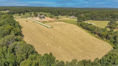 Tract 3 Greene 726 Rd, Paragould, AR 72450 - photo 5