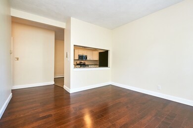 65 Brookline St unit 4, Cambridge, MA 02139 - photo 3