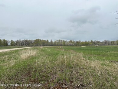 IMG_8713