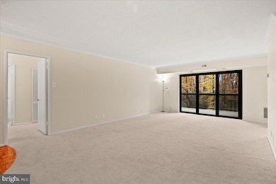 203 Yoakum Pkwy unit 519, Alexandria, VA 22304 - photo 5