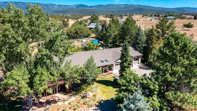 18317 Highway 65, Cedaredge, CO 81413 - photo 4